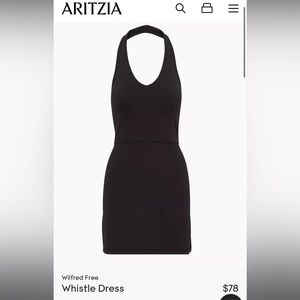 Aritzia Whistle Dress in Black